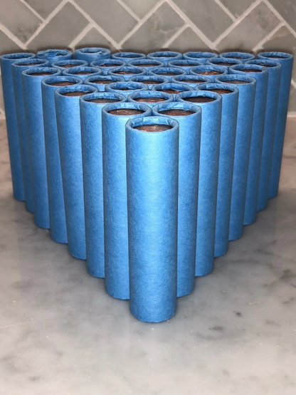 Blue Wheat Penny Rolls with a Brilliant Uncirculated Wheat Cent Ender 